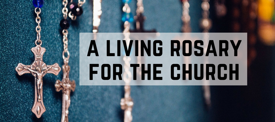 A Living Rosary for the Church